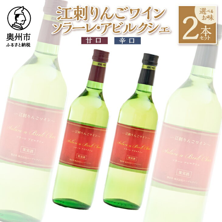 【ふるさと納税】 江刺りんごワイン 選べるお味 甘口 辛口 720ml 2本セット ソラーレ・アビルクシェ サンふじ りんご アップル ワイン アルコール ギフト プレゼント 贈答[A0074]