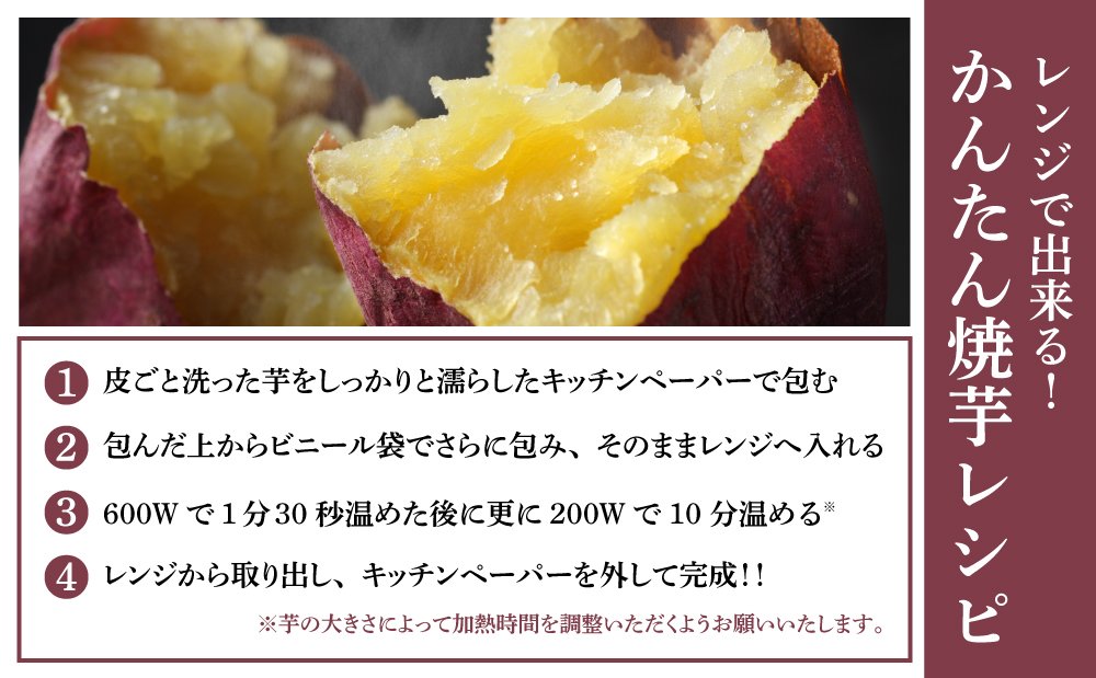 ★10月発送開始★ 鹿児島県産生さつまいも 「紅はるか」約5kg 先行受付 さつまいも 焼き芋 さつま芋 甘藷 サツマイモ べにはるか スイーツ JA 南さつま市