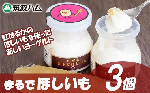 まるでほしいも 3個 × 1箱 │ ヨーグルト 干し芋 ほしいも ほし芋 紅はるか さつまいも 筑波ハム 茨城県 つくば市