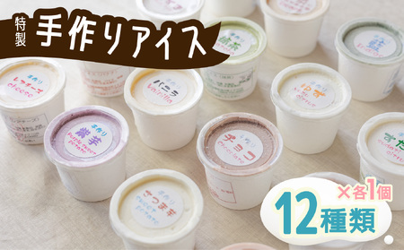 海陽町特製アイス　ユニークな味１２種類セット！ 