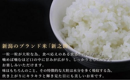 令和7年産新米 中魚沼産「新之助(しんのすけ)」10kg 新潟県 津南町 有限会社イタバ