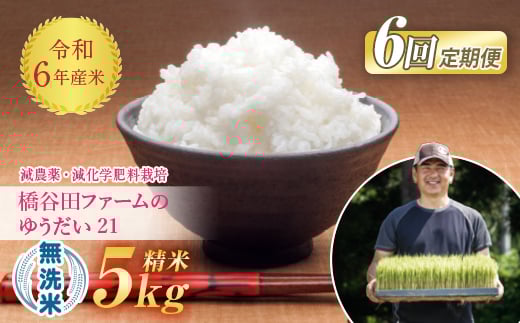 《定期便6ヶ月》 令和6年産米  減農薬・減化学肥料栽培 ゆうだい21 無洗米 5kg 米 お米 おこめ ご飯 ごはん 福島県 西会津町 F4D-1238