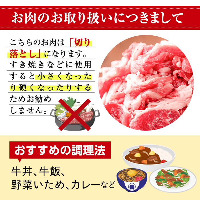No.1376-A ＜定期便・全3回＞九州産 黒毛和牛切り落とし(総計2.7kg・300g×3P×３回) 牛肉 切落し 切り落し 和牛 冷凍 九州産 国産 小分け 国産牛 お肉 牛丼 野菜炒め カレー