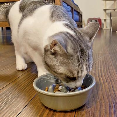 ふるさと納税 瑞浪市 美濃焼　陶器製ペット用フードボウル【早食い防止 丸平台フードボウル/ホワイトpet142】 |  | 01