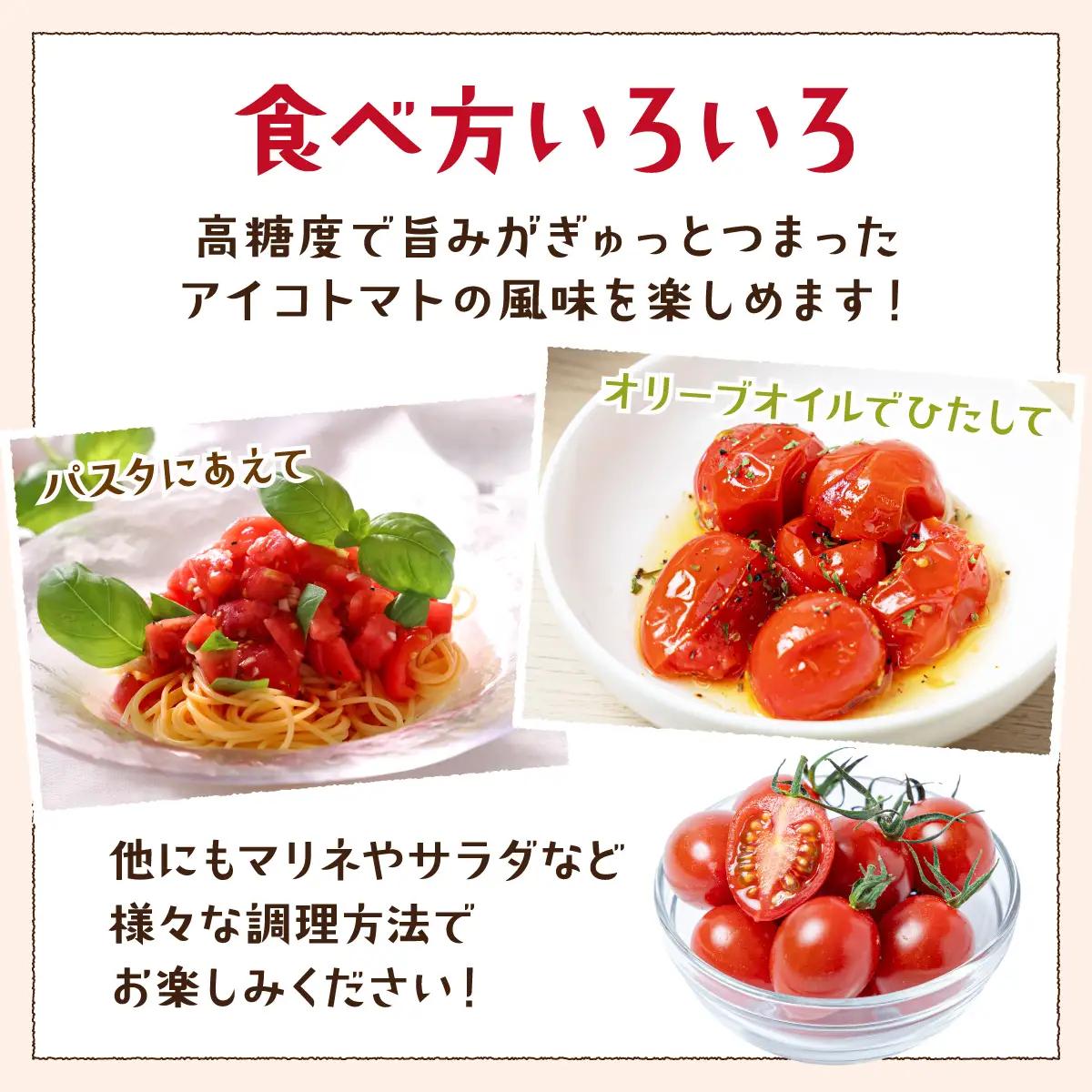 【先行予約】ミニトマト（アイコ）　3kg　Mサイズバラ詰め