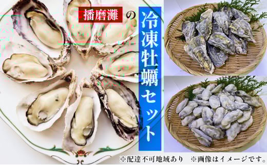 [№5258-0452]ぷりぷり濃厚！播磨灘の冷凍牡蠣セット【加熱用】 殻付かき(12個)・むき身かき（50粒前後）