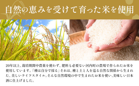 純米大吟醸 大天授 1.8L 1本《30日以内に出荷予定(土日祝除く)》麻原酒造株式会社 茨城県 河内町 酒 日本酒 【配送不可地域あり】