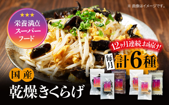 
            【全12回定期便】【栄養満点のスーパーフード！りんりんきくらげ】国産 乾燥 木耳 美容 健康 りんりんセット 計6袋 きくらげ キクラゲ 木耳 きのこ キノコ 食品 食物繊維 野菜 やさい ビタミンD 乾燥 炒め物 ラーメン 便利 密封 安心 安全 美容 健康 腸活 ギフト 国産 広島県産 人気 江田島市/株式会社凛[XCB008]
          