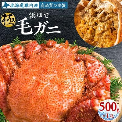 ふるさと納税 稚内市 【稚内産・極】  浜ゆで毛ガニ(堅蟹) 500g×1尾