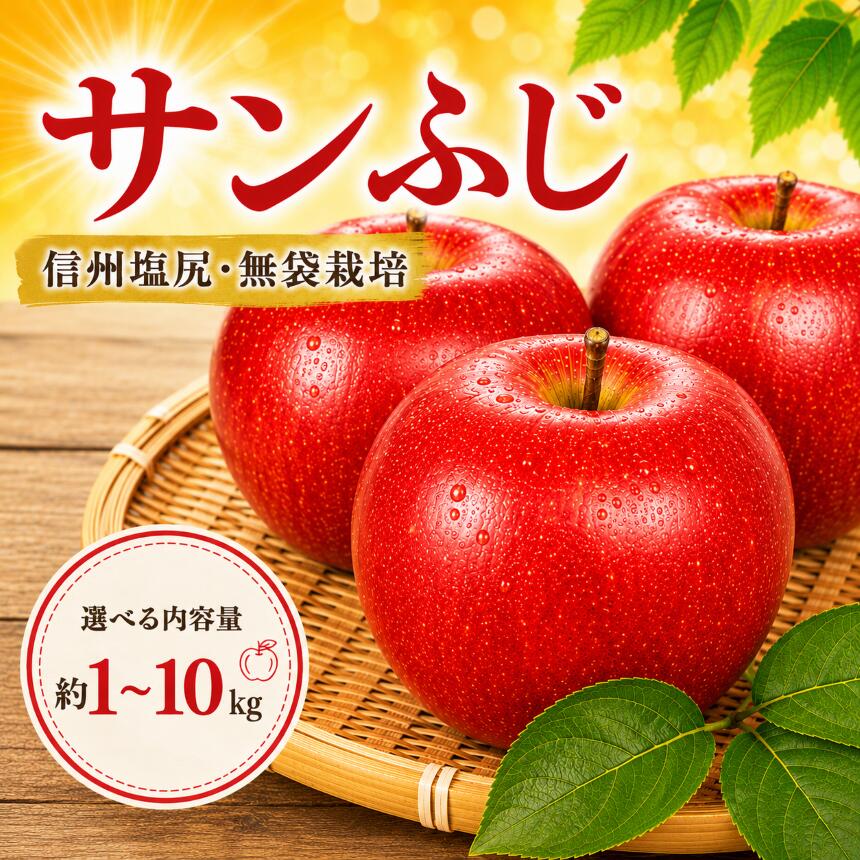 【ふるさと納税】【2026年先行予約】信州塩尻産 サンふじ 選べる内容量♪《 約1～10kg 》【2026年12月初旬～2027年5月にかけて順次発送予定】| 先行受付 果物 くだもの フルーツ サンふじ りんご 赤 林檎 信州 長野県 塩尻市
