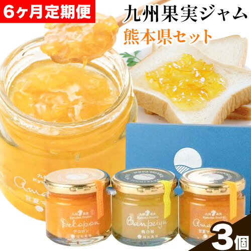 九州果実ジャム 熊本県セット 3個セット 6ヶ月定期便 デコポンジャム 甘夏マーマレード 晩白柚ジャム 1個あたり120g《お申込み月の翌月から出荷開始》熊本県 水俣市 津奈木町 福田農場 ジャム マーマレード 柑橘 セット