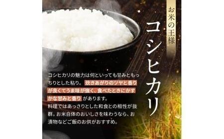 [定期便3回]矢板市特別栽培米 こしひかり 玄米 5kg×4P | お米 米 こめ 白米 玄米 にじのきらめき コシヒカリ こしひかり 美味しい お弁当 選べる エコ スマート 環境 手間暇 土づくり