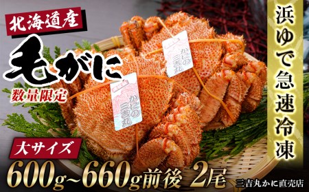 【大サイズ】北海道産 冷凍ボイル毛ガニ (600g-660g前後) 2尾 AS172