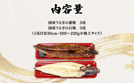 「国産うなぎの蒲焼き」×「国産うなぎの白焼き」 計6尾セット（各3尾）【凍らさず美味しさそのまま！〆たて・焼きたてを冷”蔵”で発送】地元飲食店に愛される、美味さにこだわった「国産うなぎの蒲焼き」×「国