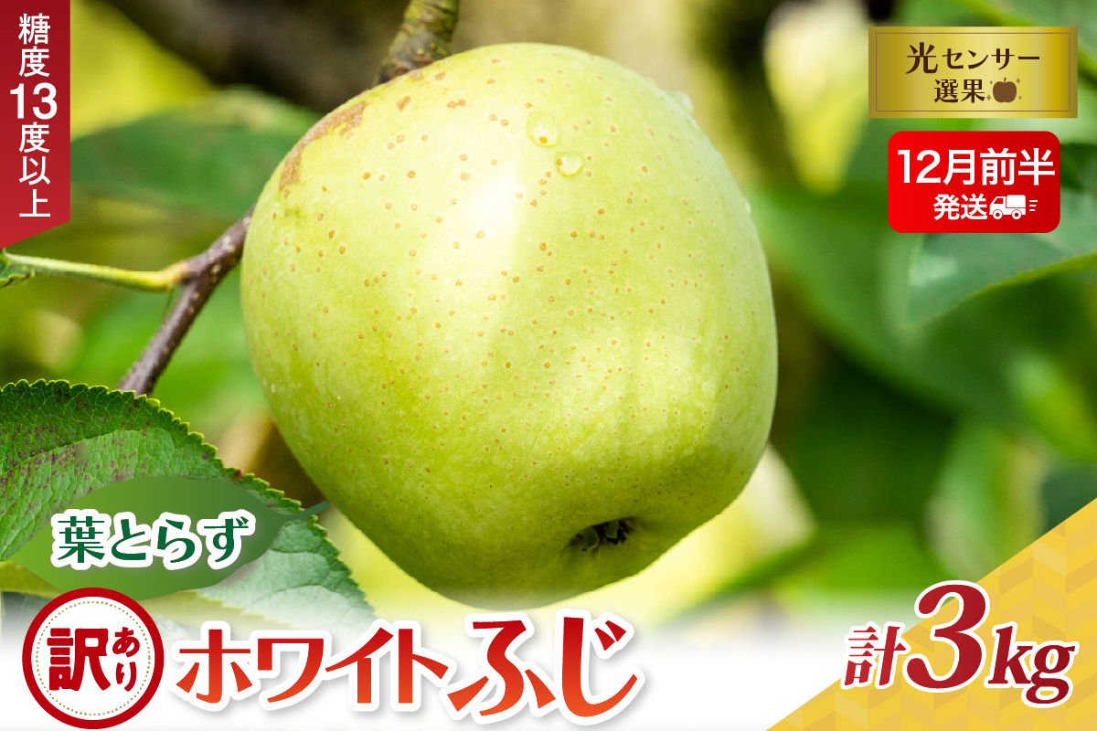 【2025年12月前半発送】【訳あり】葉とらずホワイトふじ3kg
