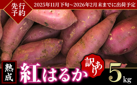 【先行予約】【訳あり】茨城県産熟成さつまいも「紅はるか」5kg【2025年11月下旬頃～2026年2月末までに出荷】【さつまいも 紅はるか 芋 サツマイモ 甘い 焼き芋 スイートポテト 茨城県産 大容量 不揃い ねっとり】