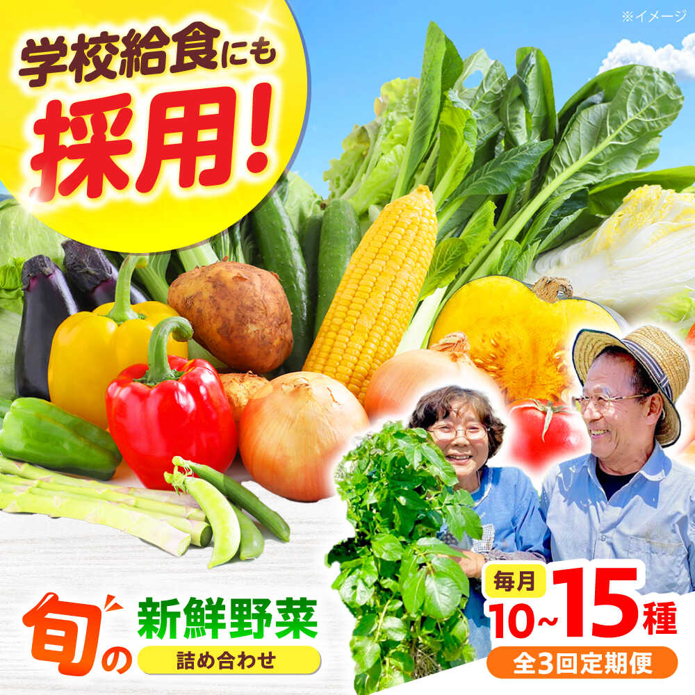 【ふるさと納税】【全3回】【数量限定】厳選！旬を味わう高槻野菜おまかせ詰め合わせ定期便（10種〜15種） 野菜 やさい 新鮮 産地直送 旬 人気 お取り寄せ 野菜詰め合わせ 野菜セット 選べる 農作物 農家 ご当地 自家製 お取り寄せ 大阪府高槻市/高槻あぐり[AOCS019]