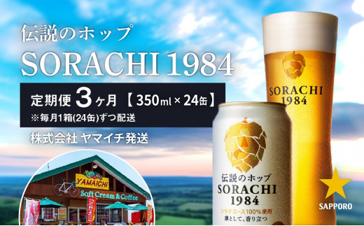 
◆3ヵ月連続お届け定期便◆SORACHI 1984 2箱（350ml×24缶） 株式会社 ヤマイチ 北海道 上富良野町 ソラチ1984 お酒 酒 飲み物 ビール 地ビール
