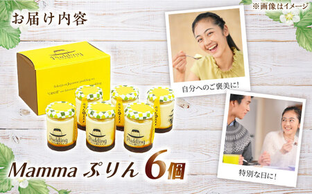 Mammaぷりん6個セット　広川町/イートウェル株式会社 [AFAK302][AFAK302]