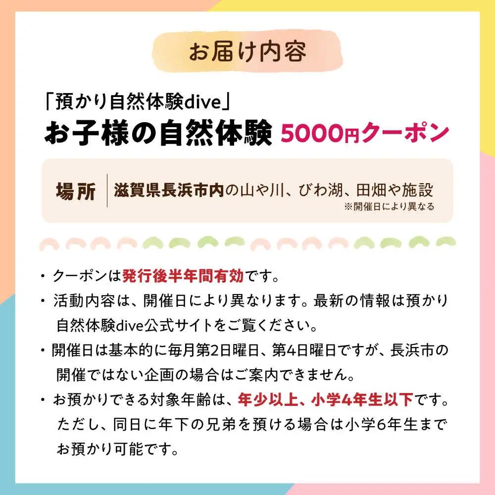 お子様の自然体験5000円クーポン「預かり自然体験dive」[AQAA003] 体験 子ども体験 自然