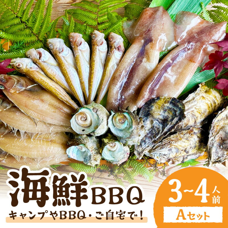 【ふるさと納税】【先行予約／2025年4月中旬〜発送】大満足！京丹後・海鮮BBQ Aセット 5種20品（3～4人前） 魚介類 さざえ 蠑螺 カキ かき いか バーベキュー ばーべきゅー きゃんぷ アウトドア あうとどあ 個包装 冷凍 送料無料