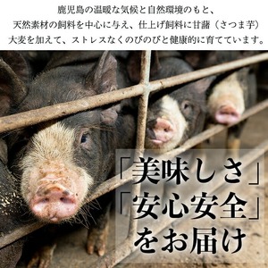 No.1155 鹿児島県産黒豚肉使用！黒豚切り落とし(計2.7kg・150g×18P)国産 九州産 黒豚 豚肉 切り落とし 切落し 生姜焼き すき焼き 小分け 冷凍【コワダヤ】【404】【1154】