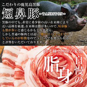a005-A 【3回定期便】鹿児島黒豚「短鼻豚」しゃぶしゃぶセット計1.8kg(600g×3回)(ロース肉・バラ肉・モモ肉)【鹿児島ますや】姶良市 国産 鹿児島県 肉 豚 豚肉 黒豚 スライス しゃぶ