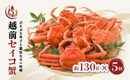 [053-a050]  【先行予約】＜ 期間限定・数量限定 ＞ 越前 セイコ蟹 約130g × 5杯 セット【冷蔵】【敦賀 塩荘 しおそう 越前ガニ せいこ蟹 カニみそ お取り寄せ】