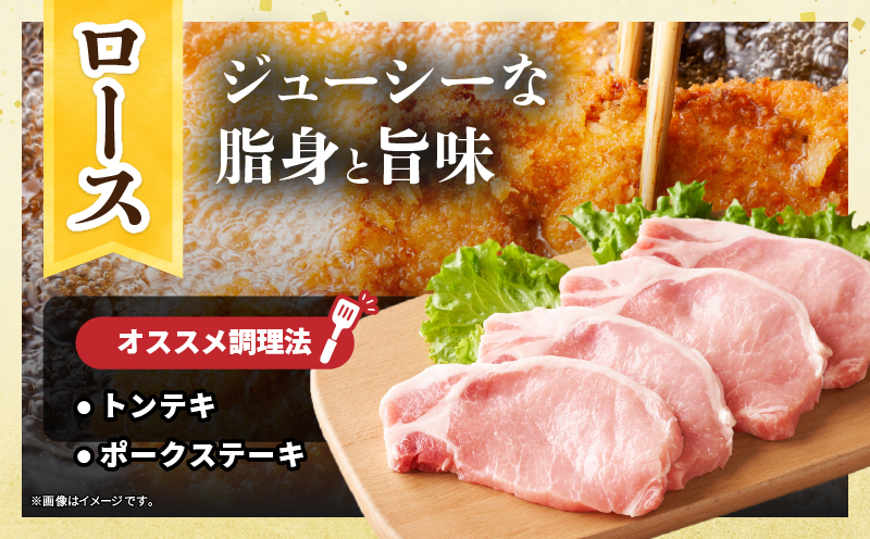 宮崎県産 豚肉ロースカツ用＆ヒレカツ用セット 合計1.3kg 国産 食品 2種 食べ比べ とんかつ トンテキ ポークステーキ 角煮 ソテー 豚丼 小分け おすすめ おかず お弁当 晩ご飯 手軽 便利 
