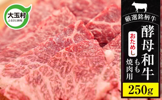 国産 黒毛和牛 あだたら酵母牛 お試し 焼肉用 モモ肉 250g 冷凍 牛肉 和牛 焼肉セット ふるさと納税 ブランド和牛 特産 ギフト 贈答用 産直 肉料理 旨み 柔らかい 福島県 大玉村 【 02115 】