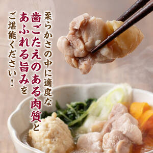 鶏肉 みやざき地頭鶏コラーゲン鍋セット 鶏もも つくね