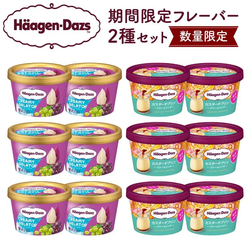 【数量限定】ハーゲンダッツ ミニカップ 12個 (CREAMY GELATO 贅沢ぶどう＆カスタードプリン)アイス ジェラート_H0016-168