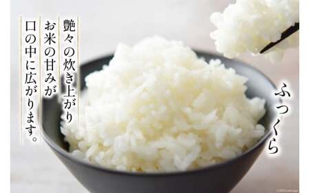 【日本一のお米】 令和5年 米 ゆきさやか 5合(750g)【郵便受けにお届け】[武山農園 / 北海道 剣淵町 14656132] 白米 精米 ご飯 ごはん コメ こめ 国産