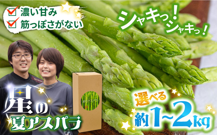 
            【2025年5月下旬～発送】【選べる内容量】甘い！柔らかい！【星のアスパラ】グリーン アスパラガス 約1kg 約2kg / アスパラ あすぱら あすぱらがす 採れたて 新鮮 旬 産地直送 野菜 2L・L・M サイズミックス / 南島原市 / ほしのYA [SEY001] [SEY002]
          