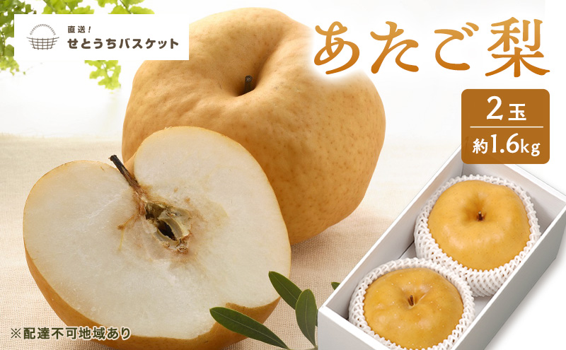 梨 2027年 先行予約 あたご梨 2玉 約1.6kg ナシ なし 岡山県産 国産 フルーツ 果物 直送！せとうちバスケット