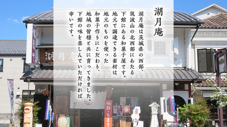 湖月庵 筑西銘菓 30個 詰合せ 和菓子 おかし お菓子 栗 くりチョコ チョコレート アーモンド 最中 もなか あんこ 餡子 小豆 あずき 餅 お餅 もち 贈り物 ギフト [AO006ci] 