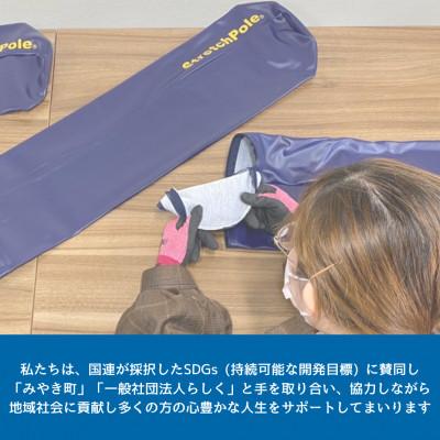 ふるさと納税 みやき町 【みやき町限定】「ストレッチポール(R)EX《アイボリー》(LPN社製)」_SS368 |  | 02