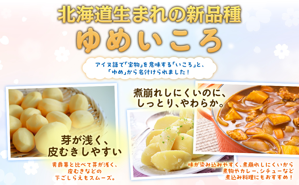 【先行予約】じゃがいも（ゆめいころ） Lサイズ 10kg 大空町産（2026年10月以降順次発送） OSR011