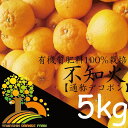 【ふるさと納税】＼農家直送／こだわりの デコポン 不知火 5kg 有機質肥料100%【デコポン 不知火 しらぬい】