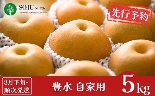 先行予約 和梨 豊水 自家用 約5kg [8月下旬から発送予定] 令和7年度 新潟フルーツ 新潟県産 三条市 梨 [三条果樹専門家集団]【010P055】