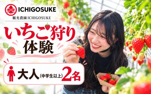 いちご狩り体験 大人2名（中学生以上） チケット | いちごがり 収穫 体験 東武動物公園すぐ 中学生以上 観光農園ICHIGOSUKE 埼玉県 宮代町 