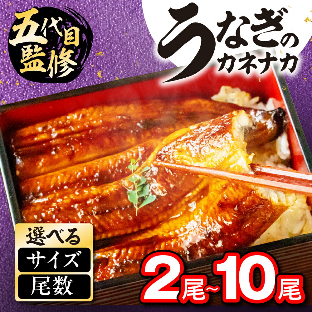【ふるさと納税】お届け時期が選べる 国産うなぎ蒲焼 2尾~10尾 タレ・山椒付 鰻 うなぎ unagi 国産 ウナギ 蒲焼 土用の丑の日 土用 丑の日 贈答 年内配送 年末配送 年末 うな重 うな丼 ひつまぶし 冷凍 11月 12月 お祝い 2尾 3尾 4尾 6尾 8尾 10尾 特上 愛知県 豊橋市