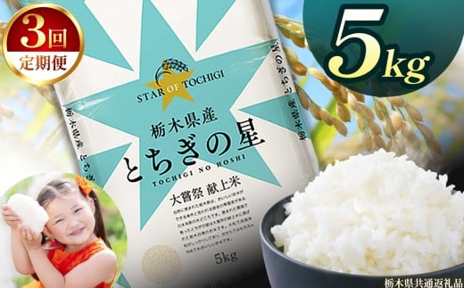 【定期便3回】栃木県産とちぎの星 5kg | 2025年 2025年米 令和7年米 秋 白米 ごはん ご飯 小分け 人気 おいしい 旨い おにぎり おむすび お弁当 限定 栃木県共通返礼品 栃木県 下野市 送料無料