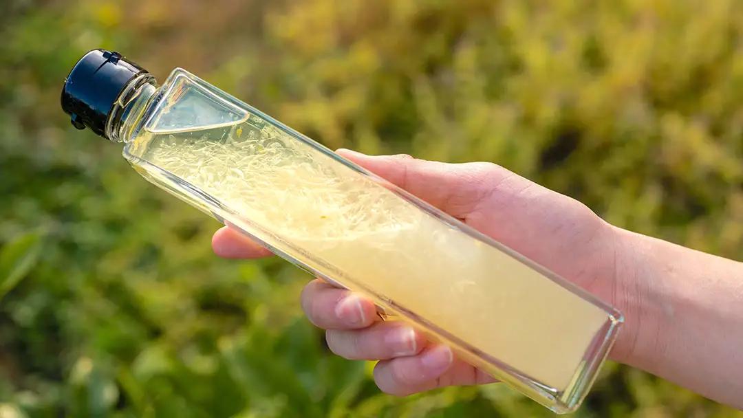 【先行予約】 贈り物に 皮ごと食べられる 生果レモン約1kg ＆レモンドレッシング ギフトセット 1月～2月末発送予定