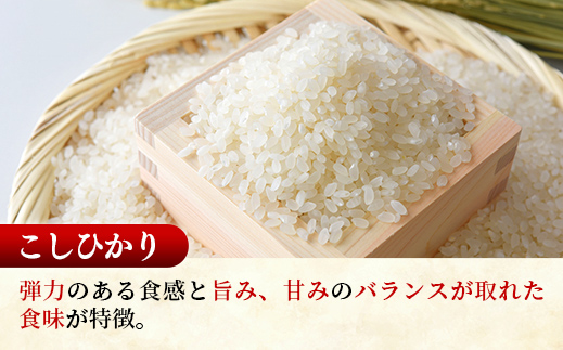 【新米先行受付】☆令和6年産☆『こしひかり』(5kg×1袋) 『あきたこまち』(5kg×1袋) 　出荷日に合わせて精米【2024年9月上旬より発送開始】コシヒカリ あきたこまち 人気 銘柄 茨城県産 