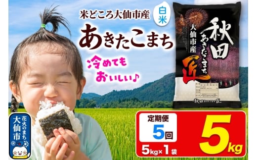 《定期便5ヶ月》米【白米】秋田県大仙市産 あきたこまち 精米 5kg 令和7年産