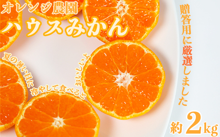 【期間限定発送】オレンジ農園のハウスみかん 約2kg 果物 期間限定 ＜114-002_6＞