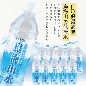 SC0591　フレッシュ 鳥海山水　500ml　ペットボトル　48本