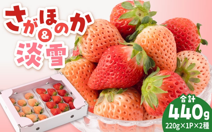 
                  【2026年1月以降発送】【農家直送】淡雪＆さがほのか赤白いちごセット各220g【岸川農園】 いちご 苺 イチゴ あわゆき 淡雪 淡雪いちご ほのか さがほのか しろいちご 白苺 しろ 白 フルーツ 果物 甘い あまい  アフター対応 アフターフォロー 期間限定 産地直送 国産 佐賀県産 さがいちご 九州 佐賀県 白石町  白石 [IAP007]
                