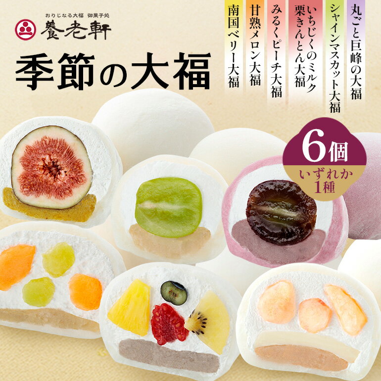 【ふるさと納税】【期間限定】養老軒の季節の大福 6個入（1種類）│お楽しみ 夏 秋 人気 旬 フルーツ ふるーつ スイーツ 大福 和スイーツ おやつ おかし お菓子 和菓子 養老軒 お取り寄せ お取り寄せスイーツ フルーツ大福 季節 果物 岐阜県 川辺町 (996)